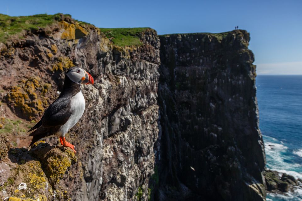 From Reykjavík: 3-Day Tour of the Wild Westfjords - Day 2: Látrabjarg puffins, Rauðasandur walks, and Dynjandi’s seven-step power