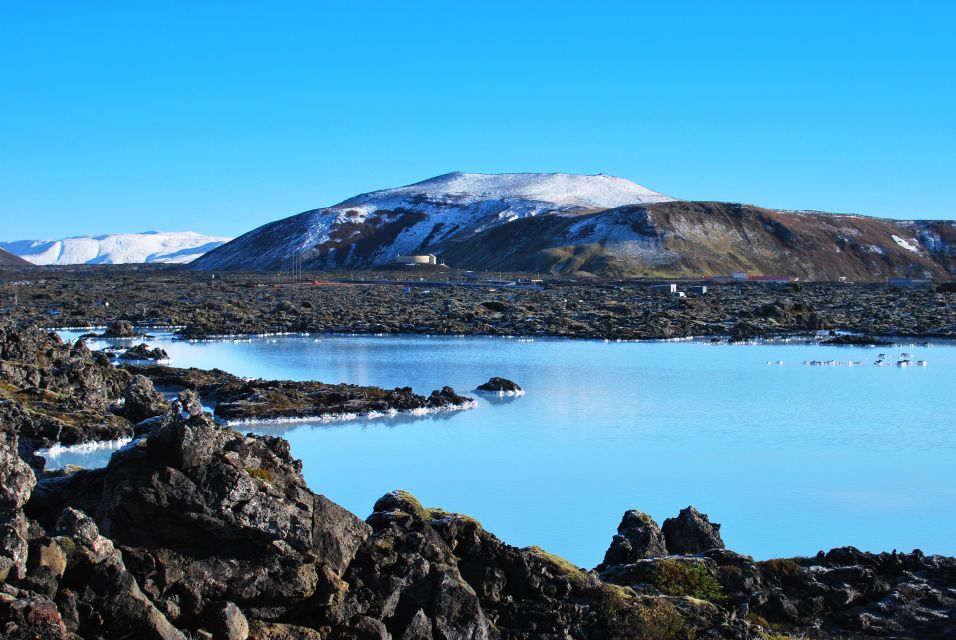 From Reykjavík: 4, 5, 6 or 7-Day Small-Group Ring Road Tour - Optional Day 6 on Snæfellsnes: seals at Ytri-Tunga, Arnarstapi cliffs, and the Red Church