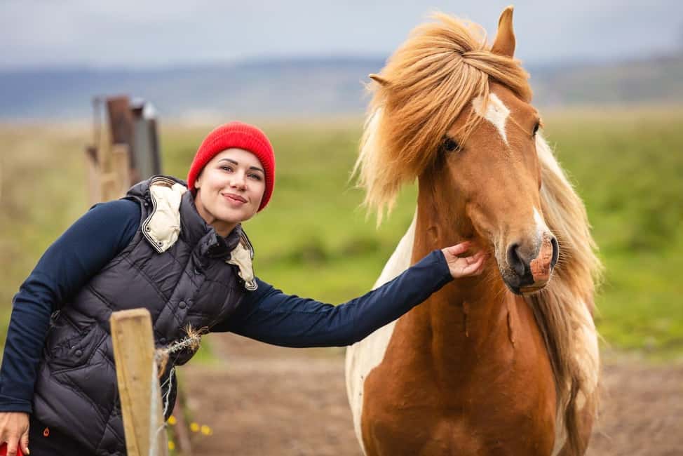 From Reykjavík: Best of Iceland 6-Day Stopover Tour - Key things to know before you go