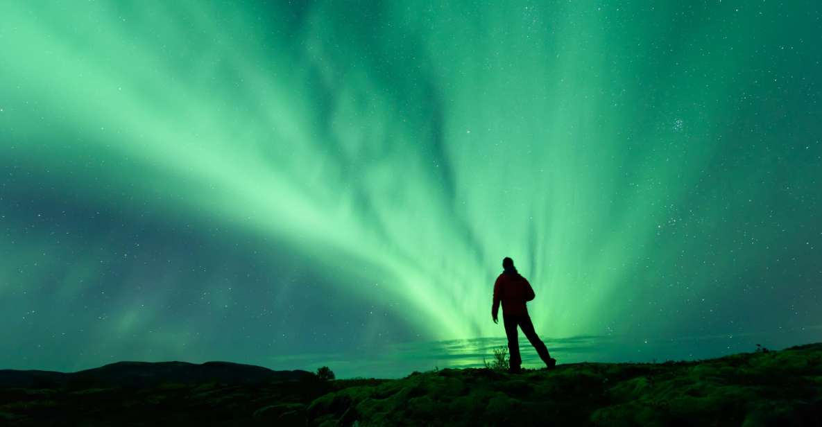 From Reykjavik: Blue Lagoon and Northern Lights Tour - Blue Lagoon first: geothermal heat, lava views, and a real spa rhythm