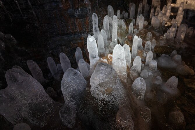 From Reykjavík: Evening Lava Tunnel Tour and Northern Lights Tour - Quick hits: what stands out on this Reykjavik night tour