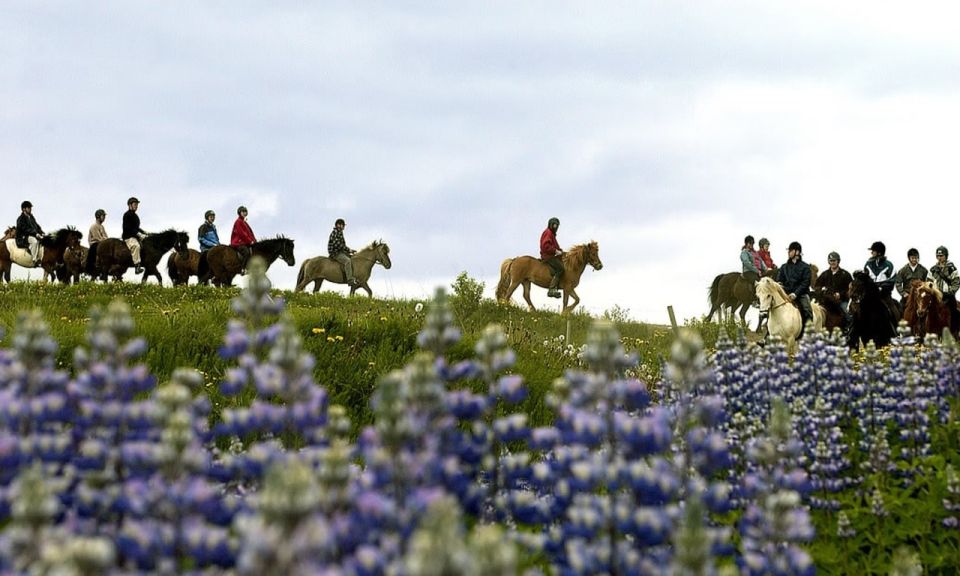 From Reykjavík: Full-day Golden Circle & Horse Riding Tour - Should you book this full-day Golden Circle horse ride?