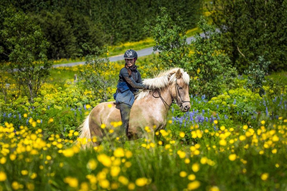 From Reykjavik: Full-Day Horse Riding & Golden Circle Tour - Key Things I’d Pay Attention To