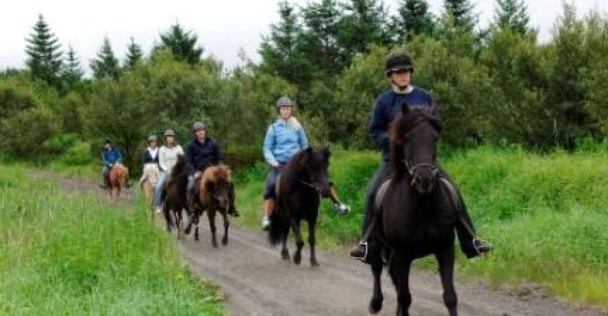 From Reykjavik: Full-Day Horse Riding & Golden Circle Tour - How the pickup and 9-hour schedule shapes your day
