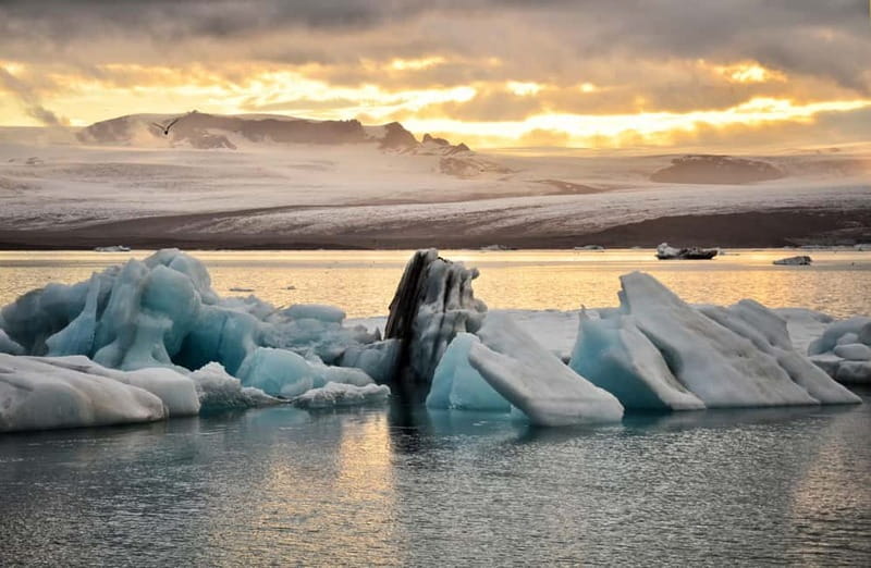 From Reykjavik: Glacier Lagoon and Fjaðrárgjúfur Canyon Tour - Jökulsárlón Glacier Lagoon: Iceland’s Ice Theater