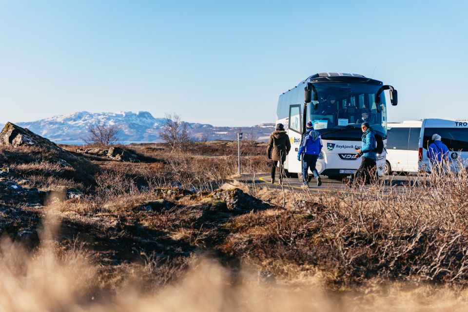From Reykjavik: Golden Circle and Glacier Snowmobiling - Price and Value for the $347 Day