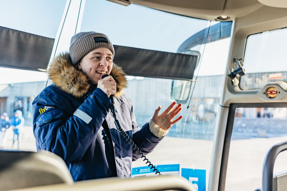 From Reykjavik: Golden Circle and Glacier Snowmobiling - Who This Tour Suits (and Who Should Skip It)