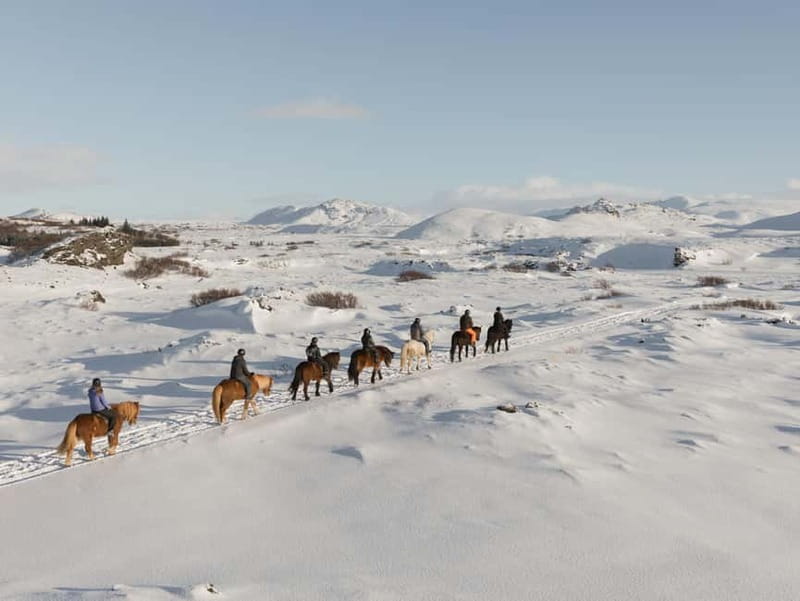 From Reykjavík: Icelandic Horse Riding Tour in Lava Fields - Key things that make this ride worth your time