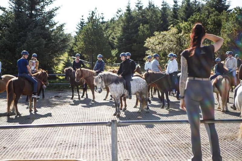 From Reykjavík: Icelandic Horse Riding Tour in Lava Fields - Mounting, skill level, and what you’ll do on the trail
