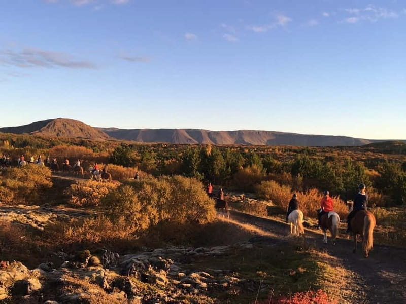 From Reykjavík: Icelandic Horse Riding Tour in Lava Fields - Logistics you should plan around (so nothing ruins your mood)