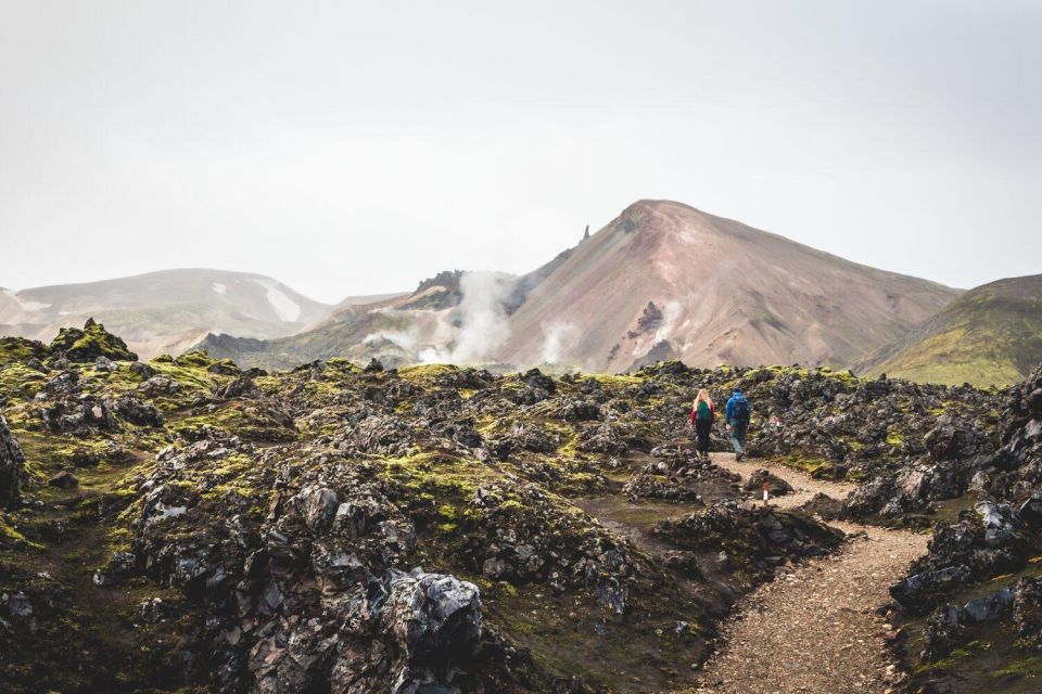 From Reykjavík: Landmannalaugar Day Hike - Key highlights worth planning for