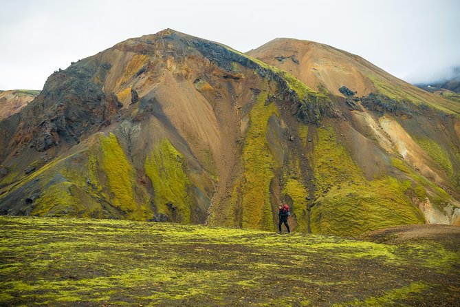 From Reykjavík: Landmannalaugar Hiking Day Tour - Should you book this Reykjavík to Landmannalaugar day tour?