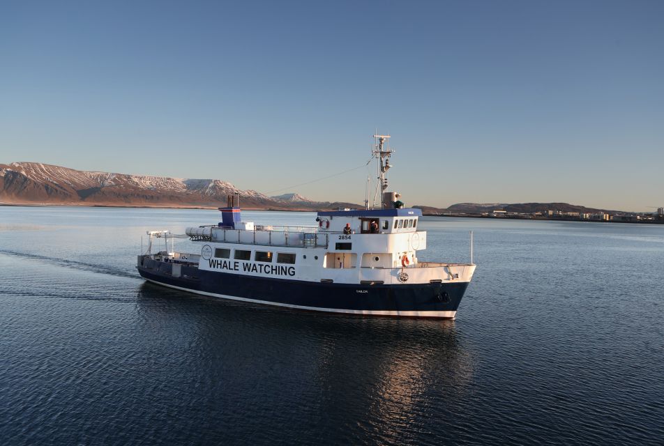 From Reykjavik: New Years Fireworks by Boat - Key highlights you’ll actually care about