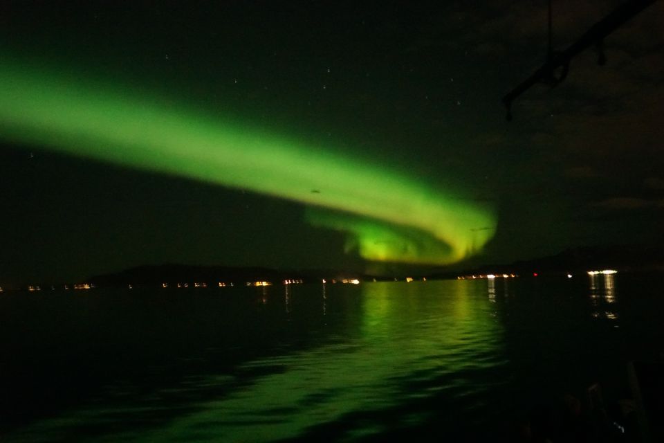 From Reykjavik: Northern Lights Boat Cruise - Who should book this cruise (and who might skip it)