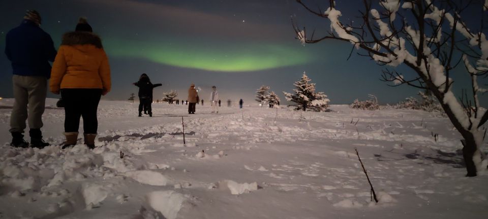 From Reykjavik: Northern Lights Chase with Expert Guide - Meeting at BSÍ bus terminal and how pickup works