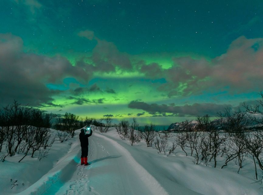 From Reykjavik: Northern Lights Chase with Expert Guide - What to wear: warm layers, grip, and patience outside
