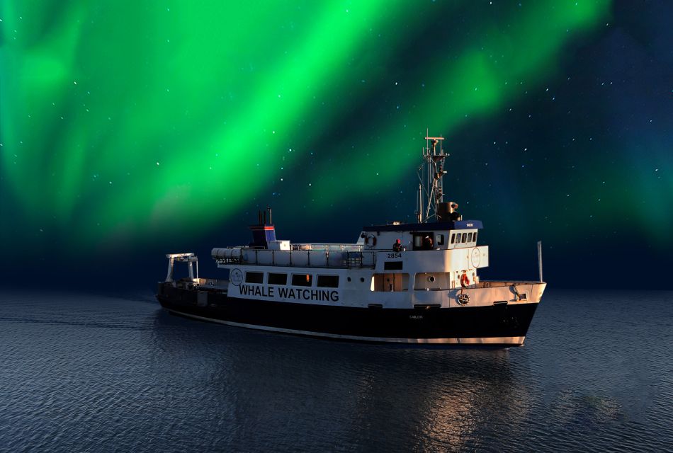 From Reykjavik: Northern Lights Sightseeing Cruise - Boarding the Boat: Deck Viewing, Wi-Fi, and the Blanket Plan