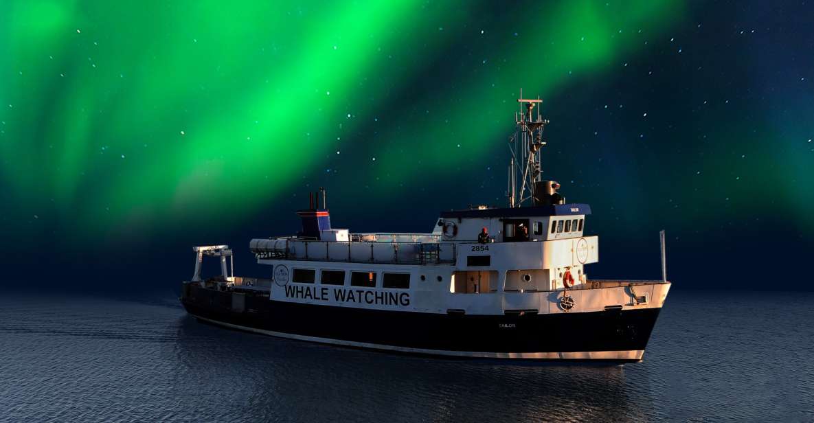 From Reykjavik: Northern Lights Sightseeing Cruise - Old Harbour House Check-In: Quick Start Without Headaches