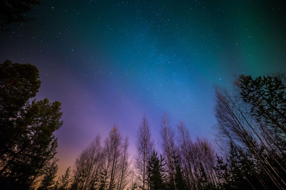 From Reykjavik: Northern Lights Tour - When the Aurora Borealis shows up, what it feels like