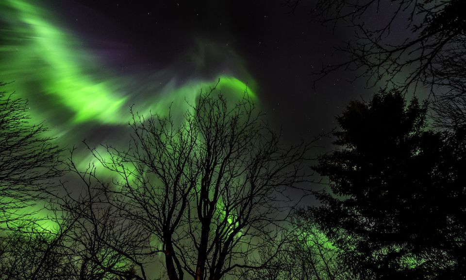 From Reykjavik: Northern Lights Tour with Lifetime Guarantee - The “secret stop” pause: why the viewing location can make or break the night