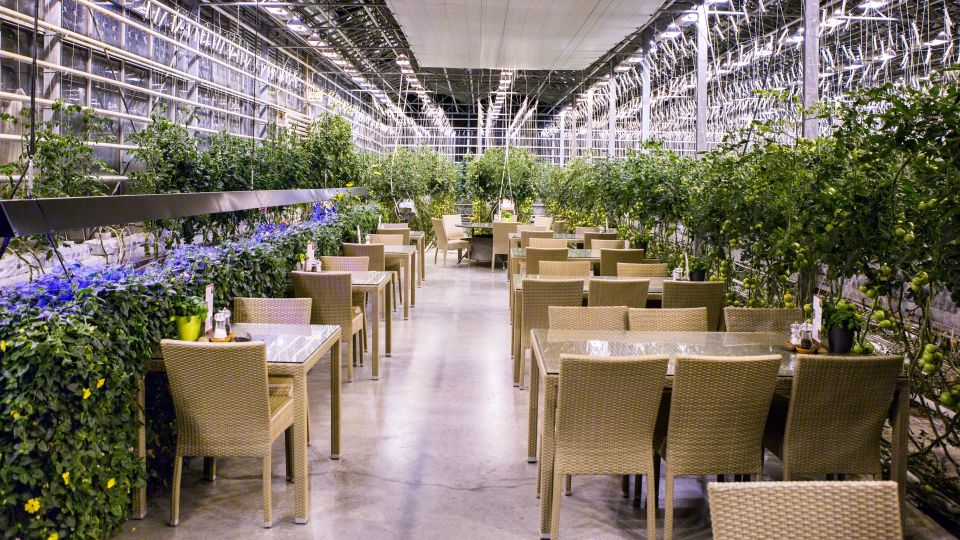 From Reykjavik: Private Golden Circle Iceland Day Tour - Friðheimar Tomato Farm: A Tomato Lunch That Breaks Up the Day