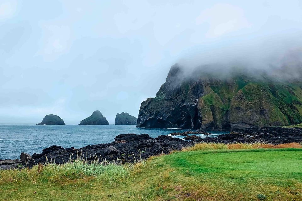 From Reykjavik: Puffin and Volcano Tour in Westman Islands - Who This Westman Islands Tour Is Best For
