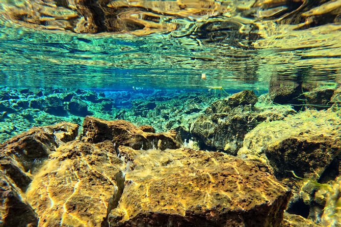 From Reykjavik- Silfra Snorkeling transfer included - Stop at Silfra: floating through the tectonic crack