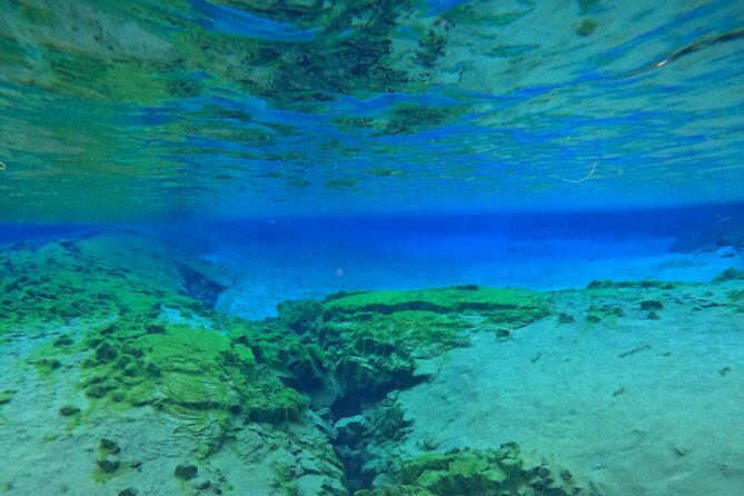 From Reykjavik- Silfra Snorkeling transfer included - Photos and warm-up treats: a smarter way to remember