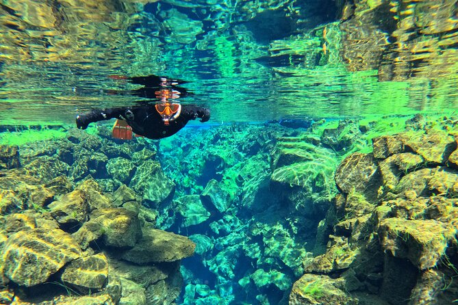 From Reykjavik- Silfra Snorkeling transfer included - Logistics that help: group size, equipment, and transport