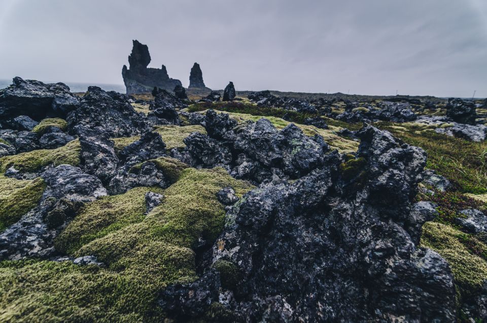 From Reykjavik: Snæfellsnes Full-Day Tour with Homemade Meal - Lunch at the Horse Ranch: Home-Cooked Comfort in the Middle of Nowhere