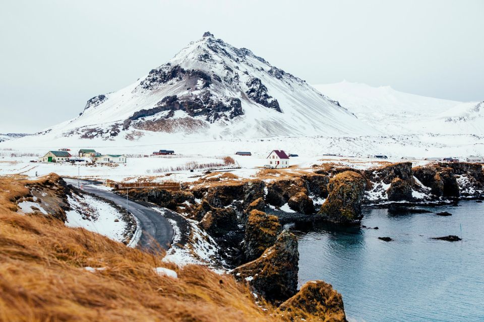 From Reykjavik: Snæfellsnes Full-Day Tour with Homemade Meal - Berserkjahraun Lava Fields and Djúpalonssandur Black Beach