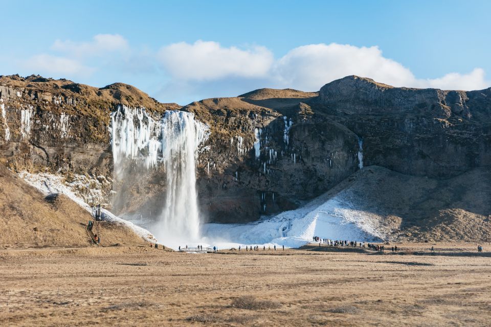 From Reykjavik: South Coast & Glacier Hike - Reynisfjara Black Sand: Basalt Columns, Sneaker Waves, and Puffins