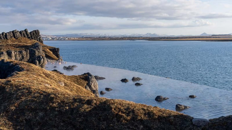 From Reykjavik: South Coast & Sky Lagoon Small-Group Tour - Reynisfjara Black Sand Beach: Stunning, Wild, and Dangerous