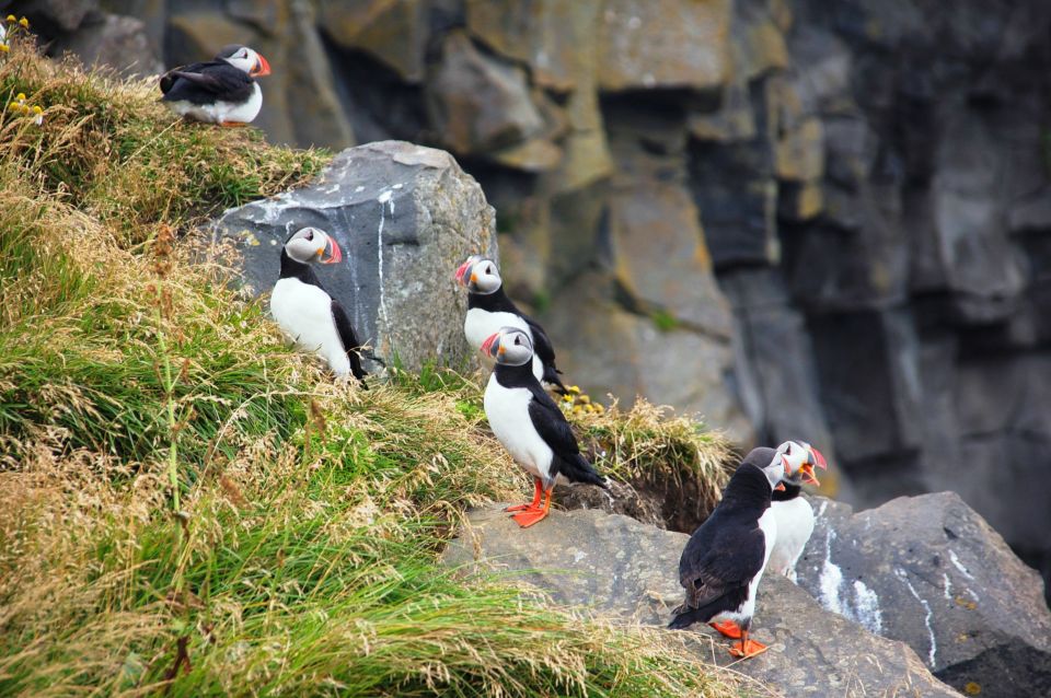 From Reykjavik: South Coast Small-Group Tour - Vik lunch by the sea: southernmost village energy