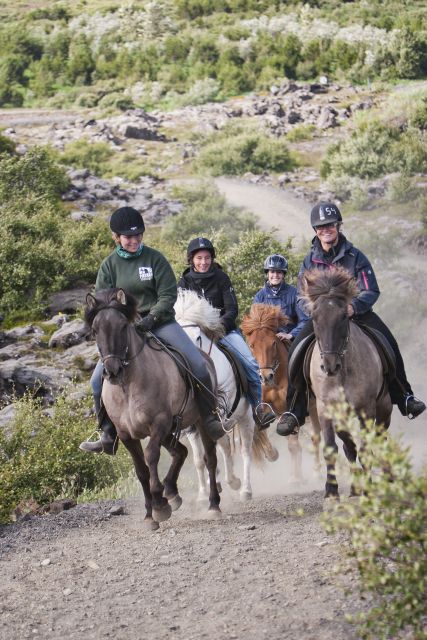 From Reykjavík: Viking Horseback Tour in Hafnarfjörður - Key highlights before you saddle up