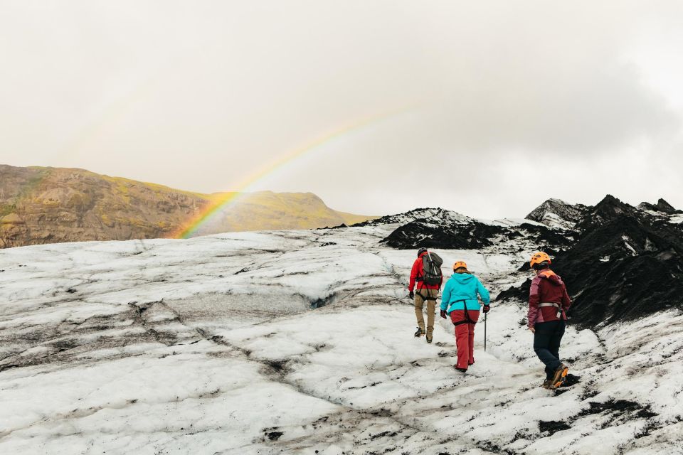 From Reykjavík: Waterfalls, Black Beach & Glacier Day Trip - A 12-hour route that covers real southern Iceland