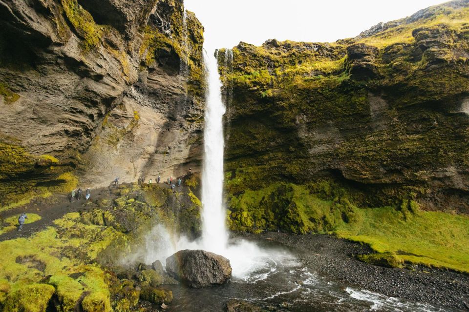 From Reykjavík: Waterfalls, Black Beach & Glacier Day Trip - Who this tour is best for (and who should rethink it)