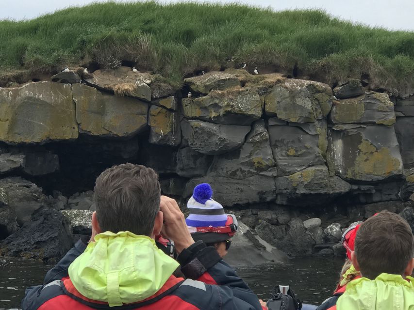 From Reykjavik: Whale Watching Tour by Speedboat - Should you book this Reykjavik speedboat whale watch?