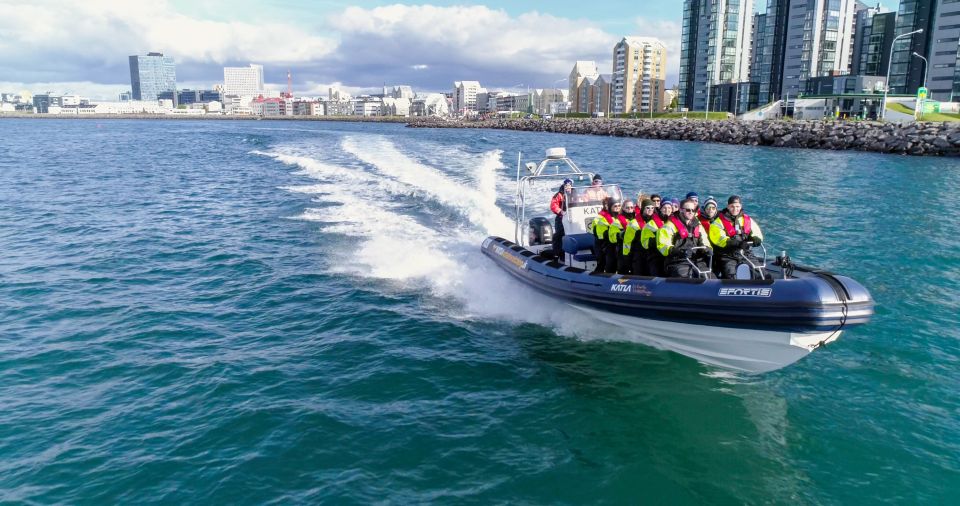 From Reykjavik: Whale Watching Tour by Speedboat - Faxaflói Bay: why this RIB whale watch feels more real