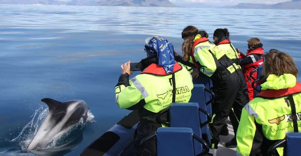 From Reykjavik: Whale Watching Tour by Speedboat - The Reykjavik sightseeing stretch: Harpa and Sun Voyager before the wildlife chase