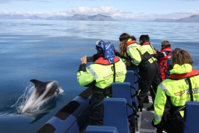 From Reykjavik: Whale Watching Tour by Speedboat - Start at Ægisgarður 5G: quick meet-up, smart warm-up