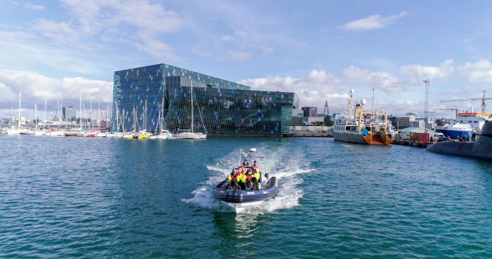 From Reykjavik: Whale Watching Tour by Speedboat - Whale spotting tips that actually help