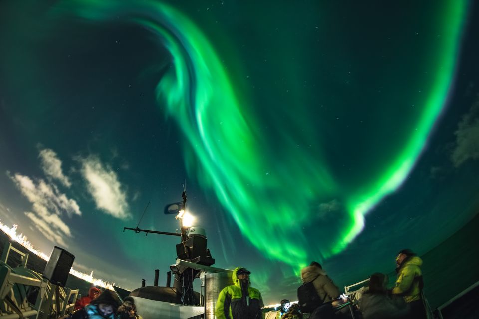 From Reykjavik: Whales and Northern Lights Boat Tour - Night cruise: Northern Lights from the water, not just from land