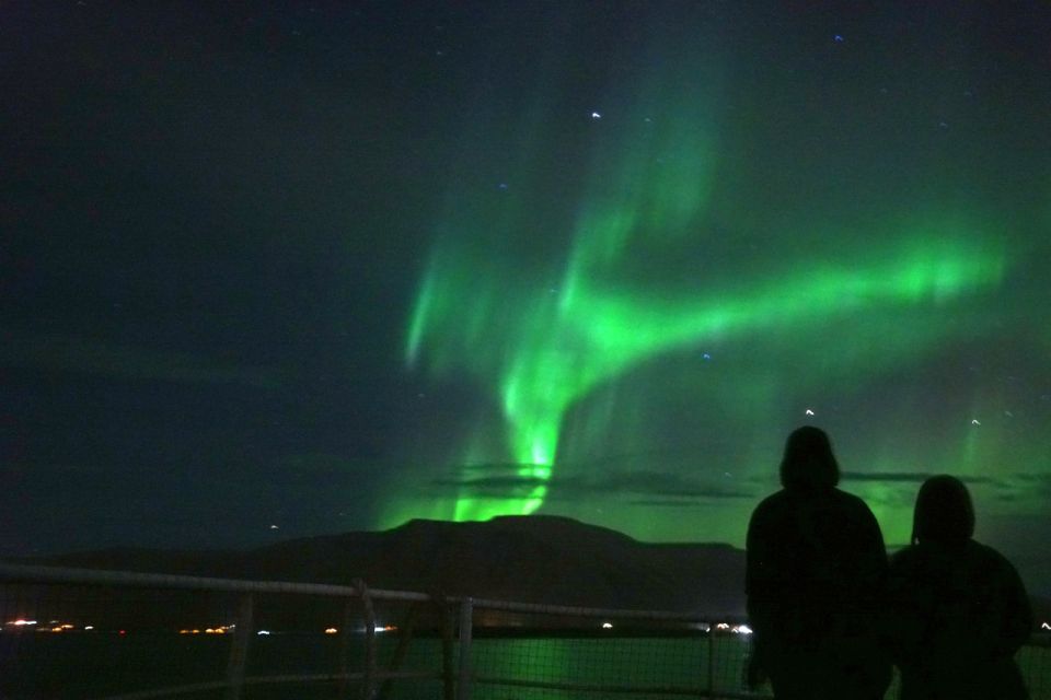 From Reykjavik: Whales and Northern Lights Boat Tour - Species and what to look for during the hunt