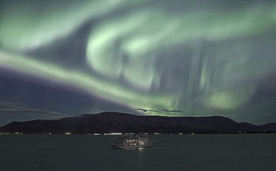 From Reykjavik: Whales and Northern Lights Boat Tour - Weather reality and the try-again safety net