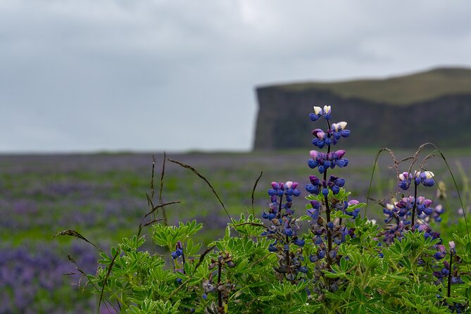 Full-Day Private Tour to Explore South Coast of Iceland - Why this route works (and what to watch for)
