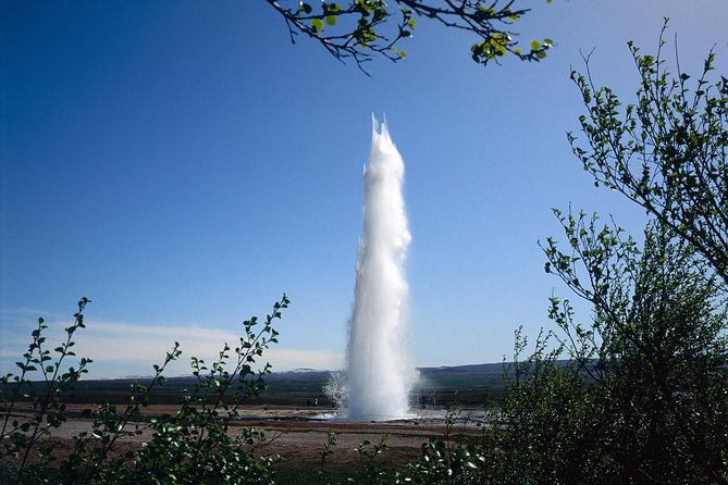 Golden Circle 7 Hours Bus Tour from Reykjavik - Food and drinks: what you should plan for (and what to look for)