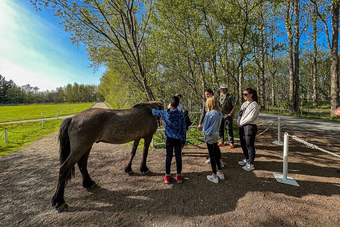 Golden Circle and Lunch at Fridheimar Tomato Farm - with photos - What you’ll want to pack for this Iceland day