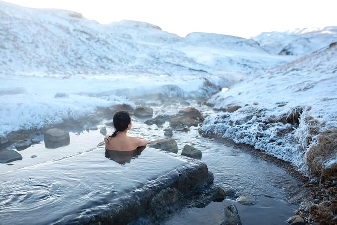 Golden Circle Experience - Private Eco Tour - Stop 3: Fridheimar greenhouses, geothermal farming, and soup options