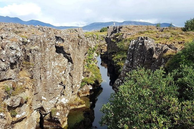 Golden Circle Express. Private Tour from Reykjavik - Sergei as your guide: hospitality, practical choices, and small extras